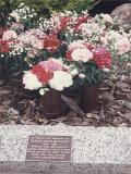 image of grave number 356376